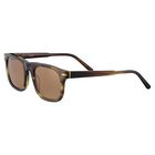 CHARLTON, Shiny Tortoise-Mineral Polarized Drivers Cat 2 to 3, hi-res image number null